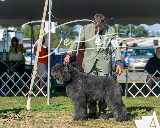 20250830-DSC05459