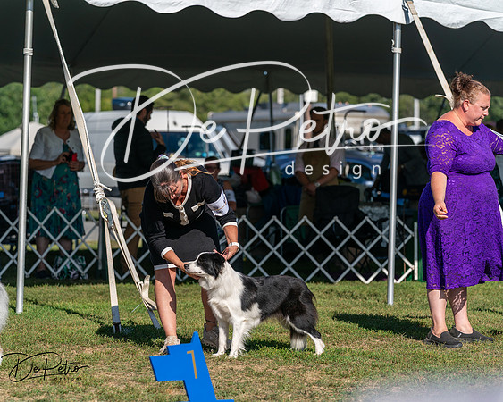 20250830-DSC05470