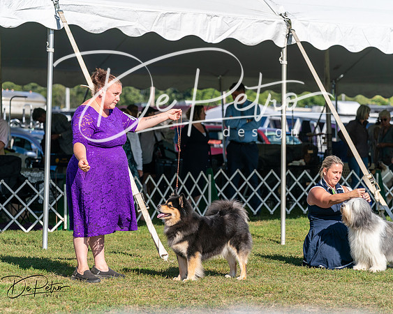 20250830-DSC05471
