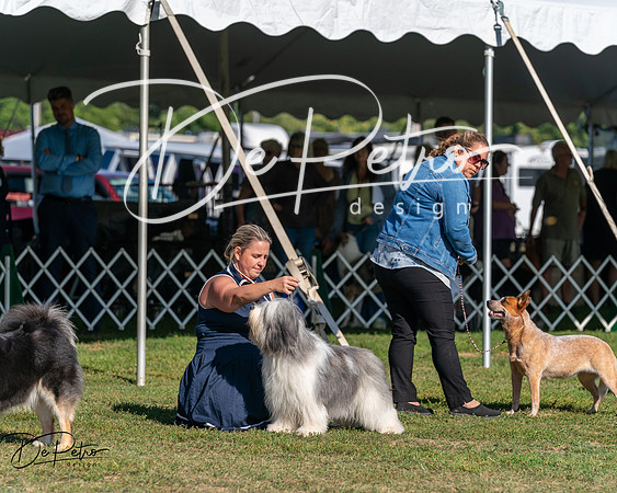 20250830-DSC05473