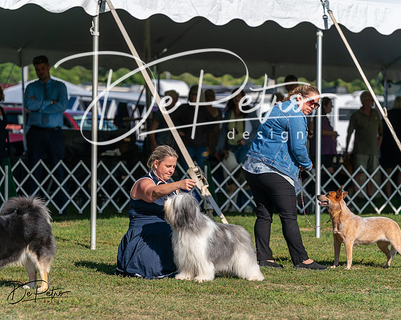 20250830-DSC05474