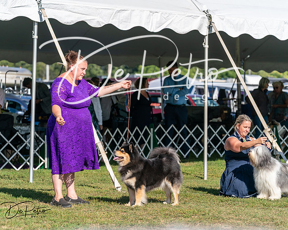 20250830-DSC05472