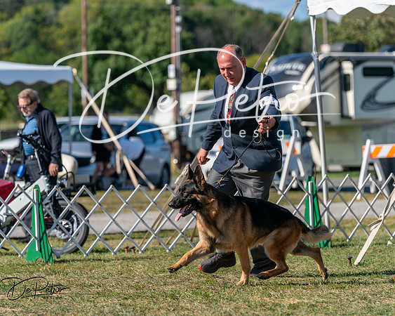 20250830-DSC05482