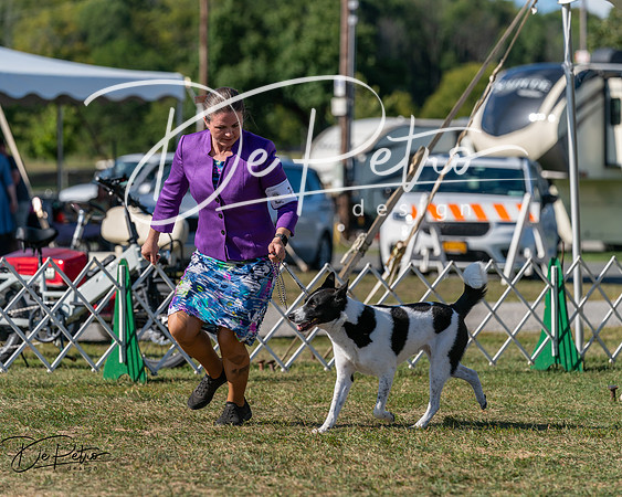 20250830-DSC05491