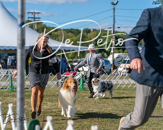 20250830-DSC05506