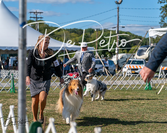 20250830-DSC05508