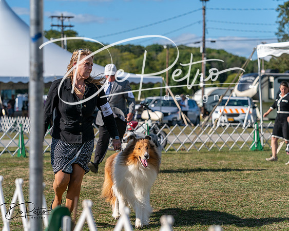 20250830-DSC05511