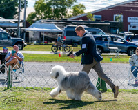 Herding