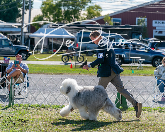 20250830-DSC05037