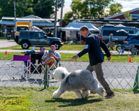 20250830-DSC05042