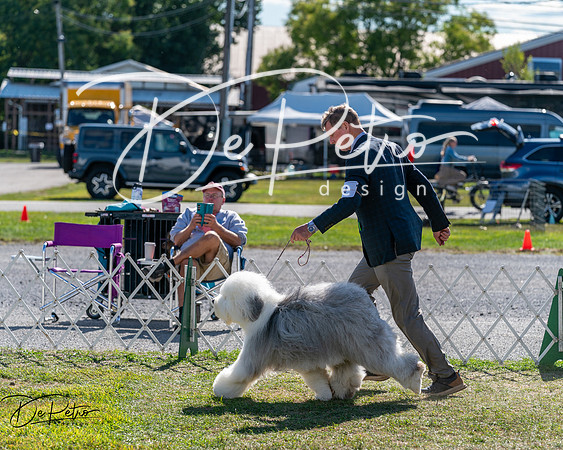 20250830-DSC05042