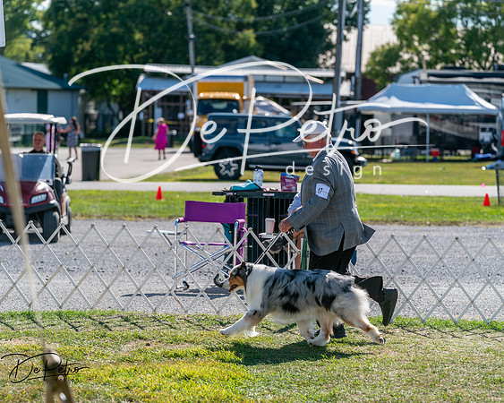 20250830-DSC05067