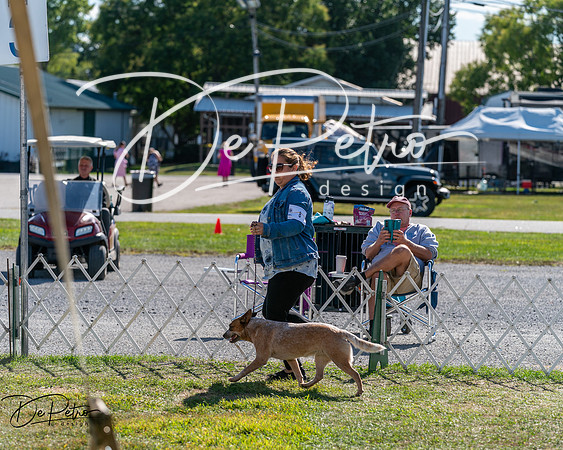 20250830-DSC05089