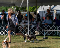 20250830-DSC05532