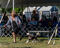 20250830-DSC05529