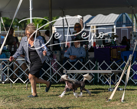 20250830-DSC05529
