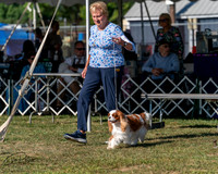 20250830-DSC05525