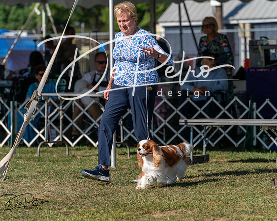 20250830-DSC05525