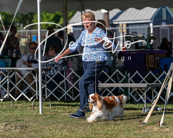 20250830-DSC05521