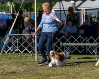20250830-DSC05524