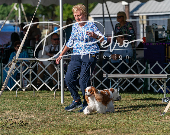 20250830-DSC05524