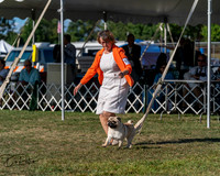 20250830-DSC05541