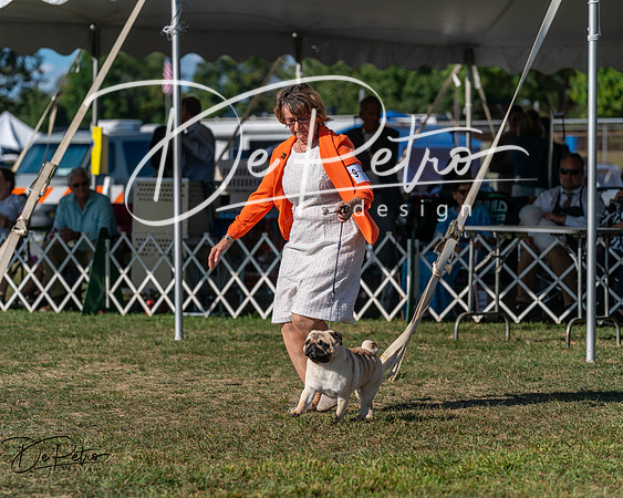 20250830-DSC05541