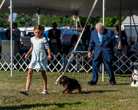 20250830-DSC05543