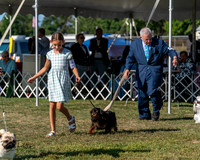 20250830-DSC05545
