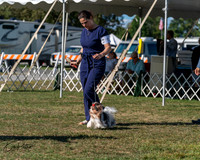 20250830-DSC05574