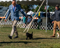 20250830-DSC05579