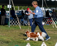 20250830-DSC05595