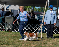 20250830-DSC05601