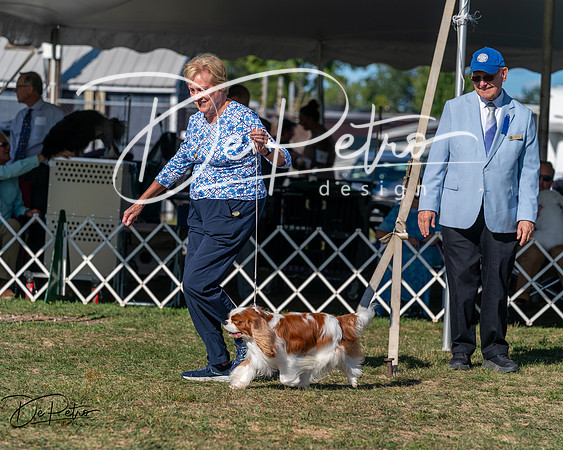 20250830-DSC05601