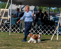 20250830-DSC05604