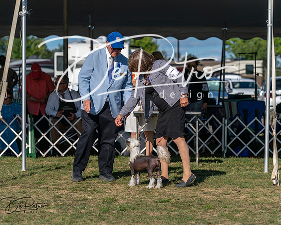 20250830-DSC05614