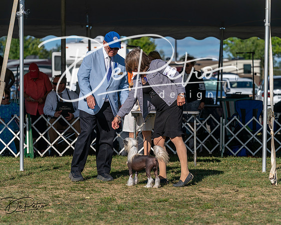 20250830-DSC05615