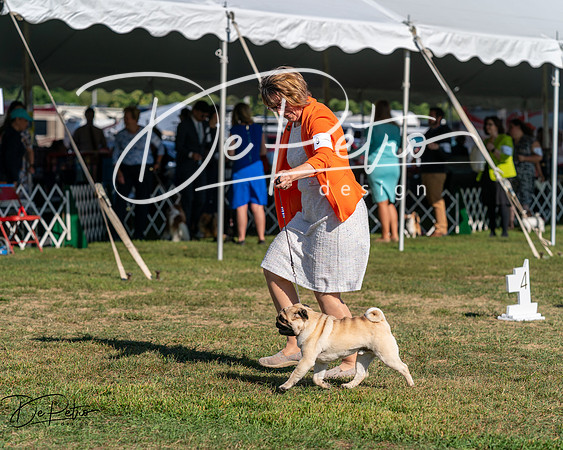 20250830-DSC05627