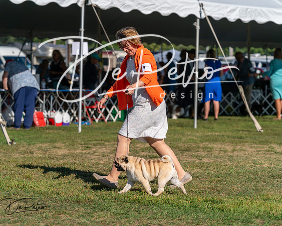 20250830-DSC05632