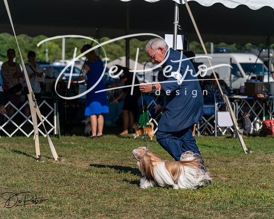 20250830-DSC05665