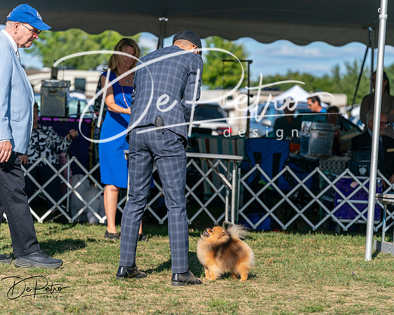 20250830-DSC05687