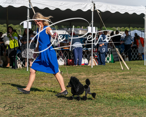 20250830-DSC05712