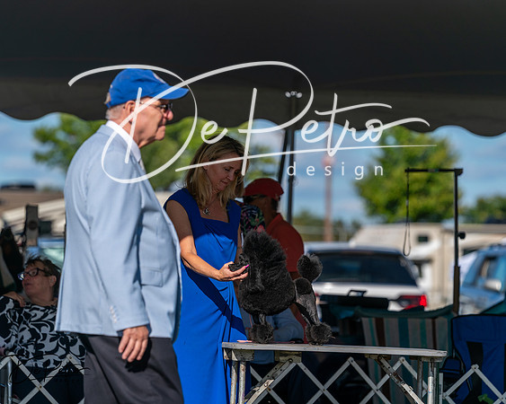 20250830-DSC05704