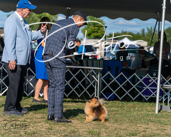 20250830-DSC05691