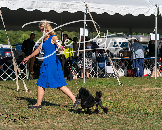 20250830-DSC05717