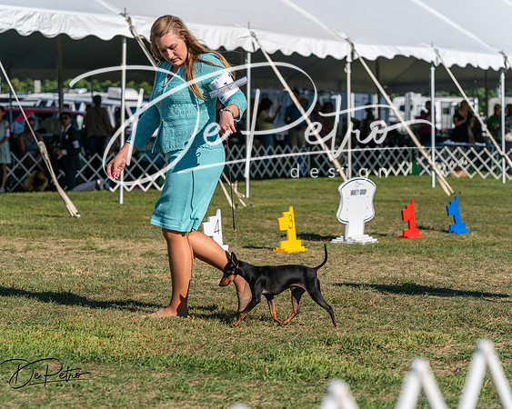 20250830-DSC05724