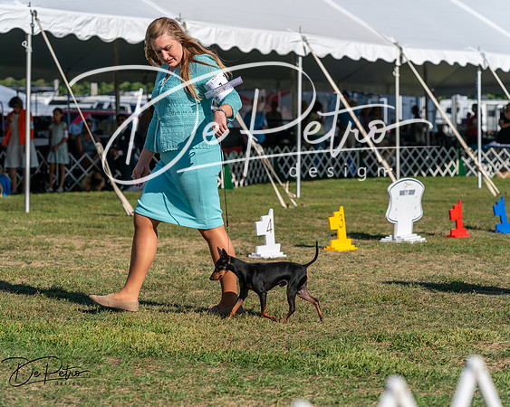 20250830-DSC05726