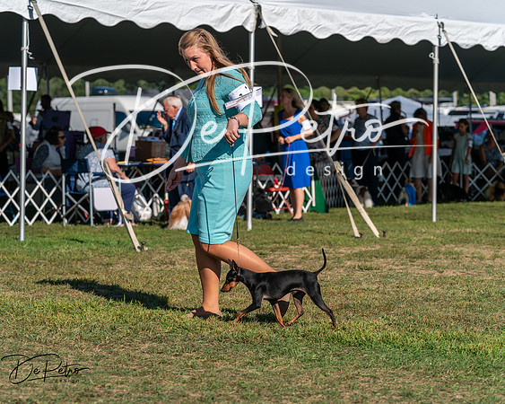 20250830-DSC05732
