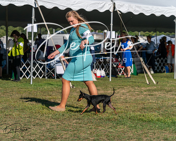 20250830-DSC05734