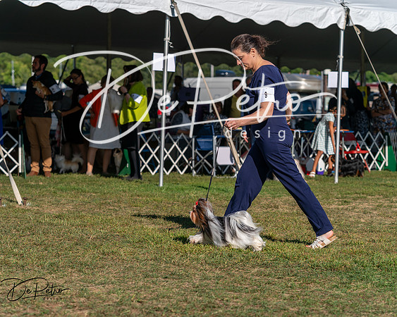 20250830-DSC05759